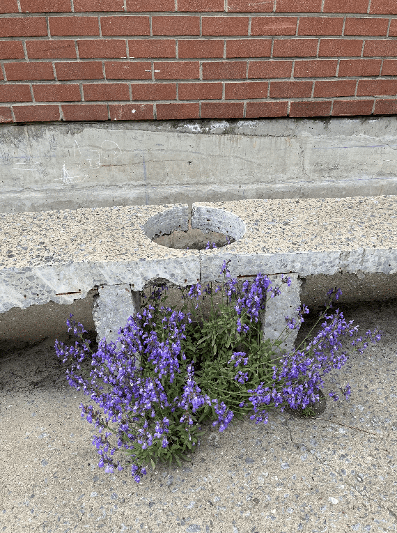 Gilbard